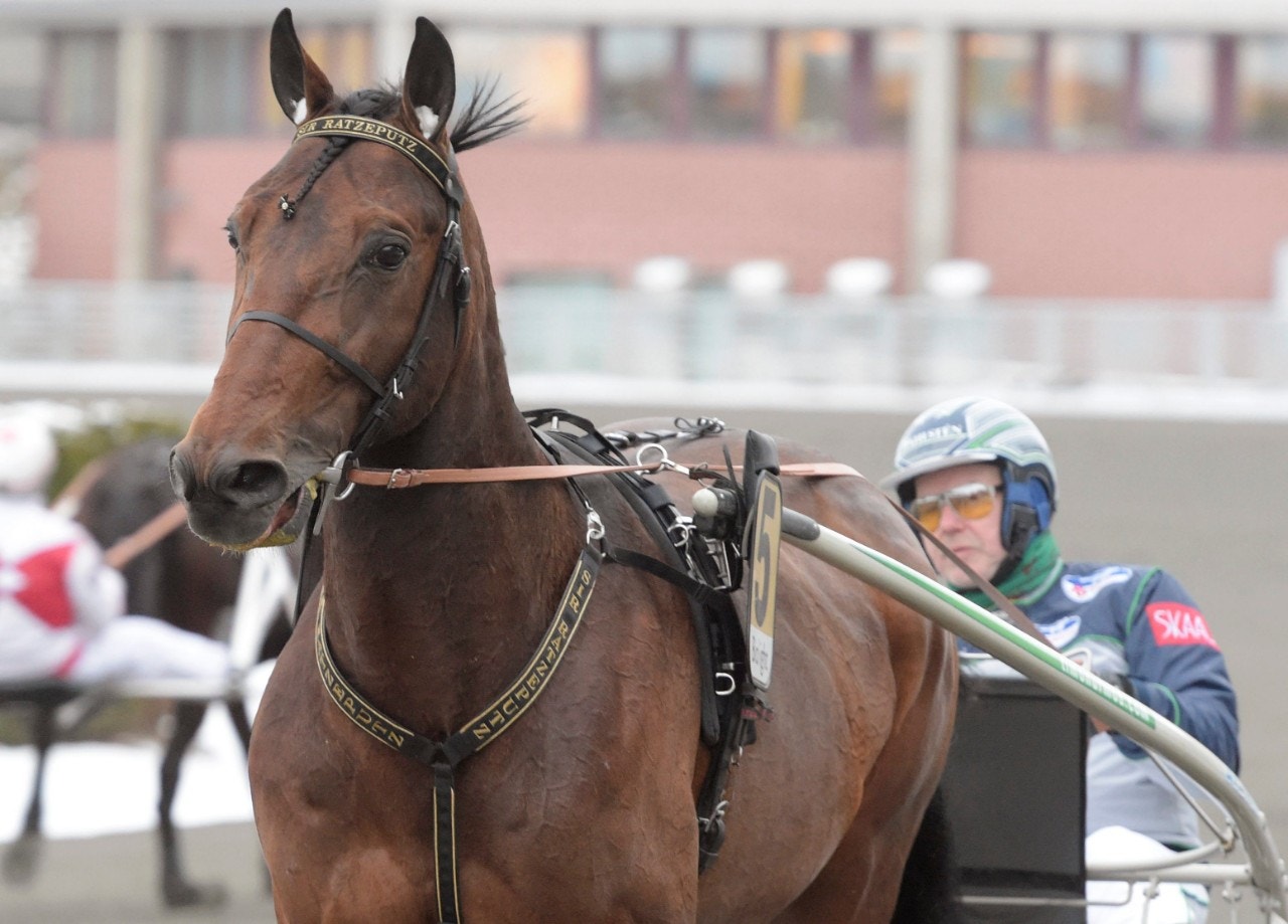 Solvalla/Åby 26 februari: Toppintryck i kval på kvällens mest spännande!
