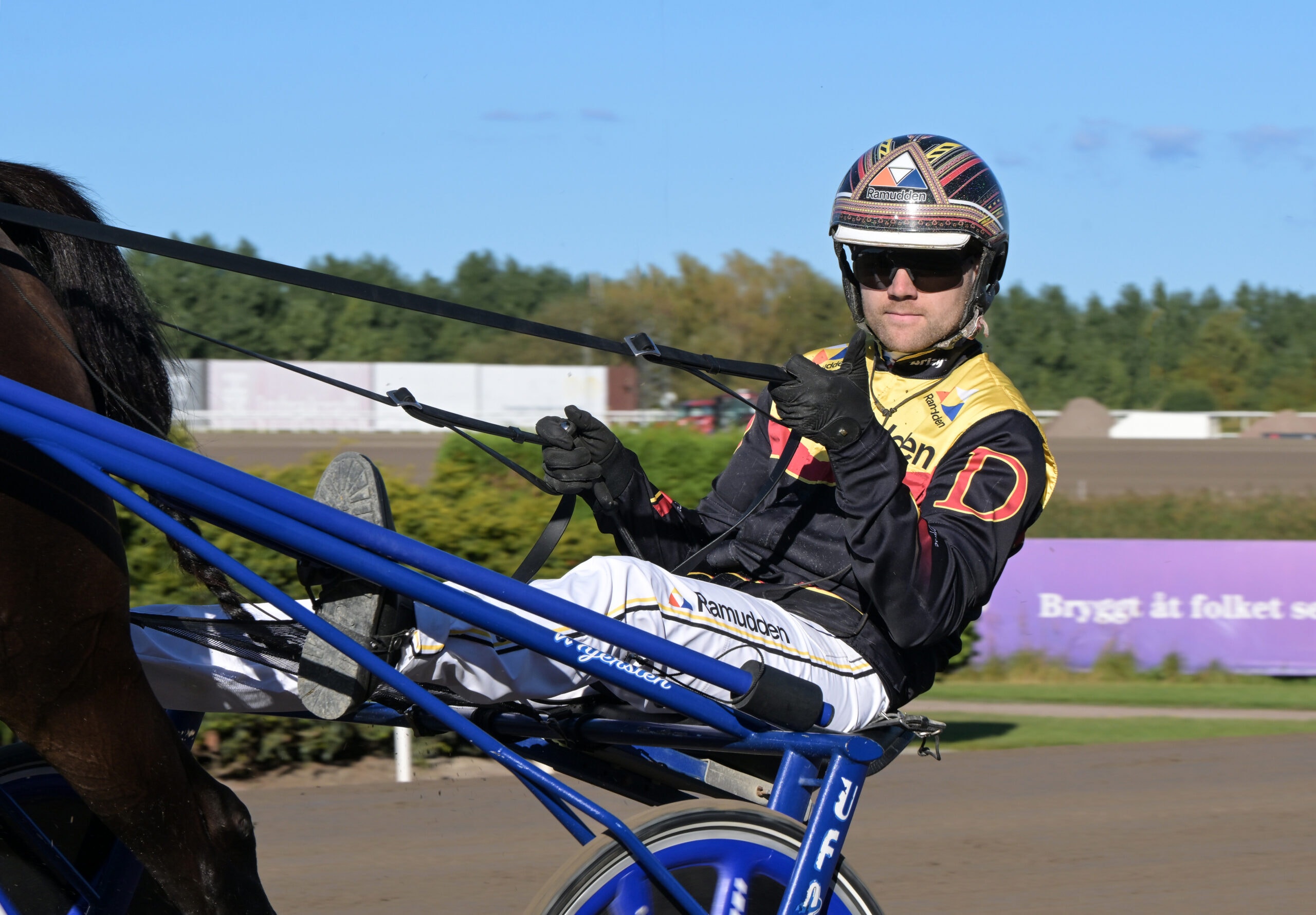 En sulkykörare i gul och svart tävlingsdräkt sitter i en blå sulky bakom en häst på en travbana. Föraren bär hjälm och solglasögon och håller i tygorna. I bakgrunden syns träd och en travbana med läktare.