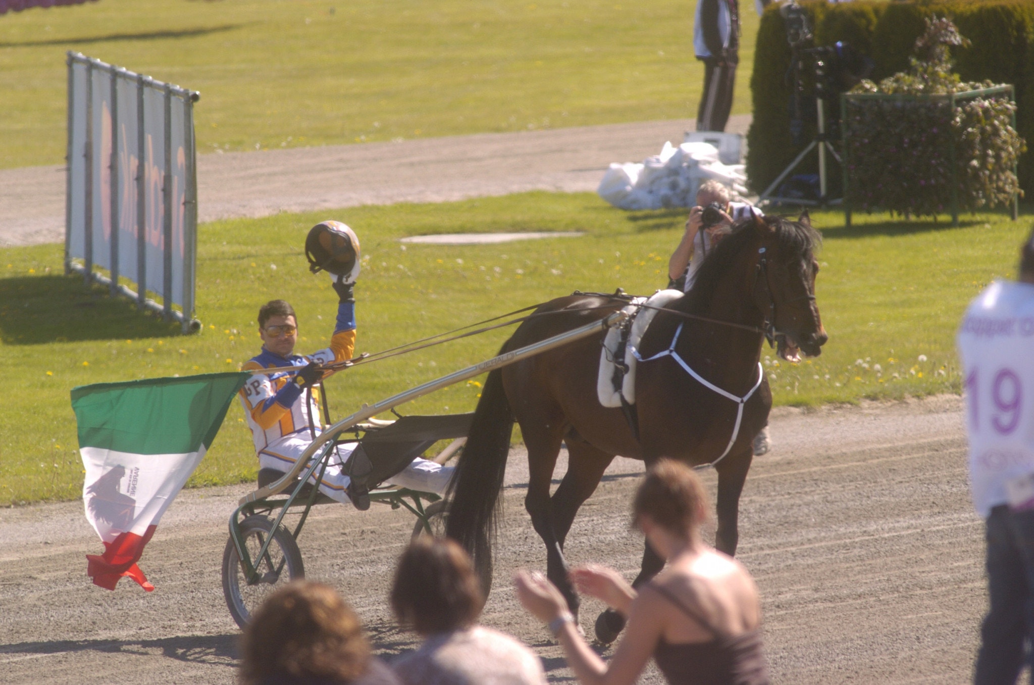 Varenne visar upp sig för Elitlopps-publiken 2008. Foto: ALN