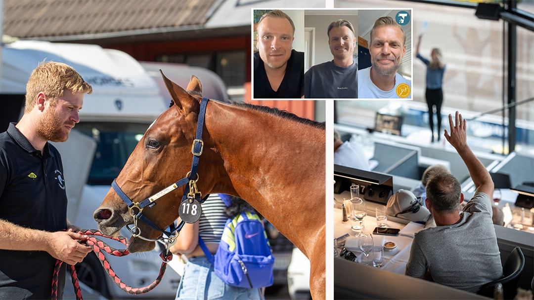 Stora genomgången – avelsexperterna letar fynd
