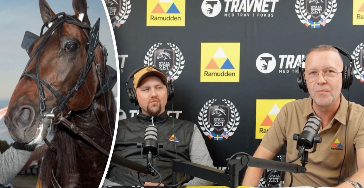 Redéns nya show: "Det kan bli vad som helst"