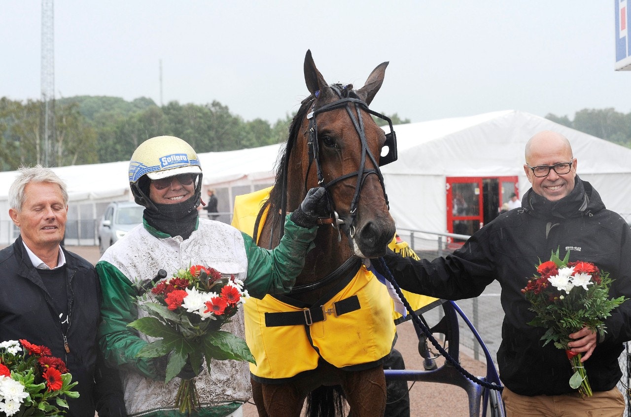 Royal Navy Neo är vår vinnare i Sommartravets final. Foto: ALN