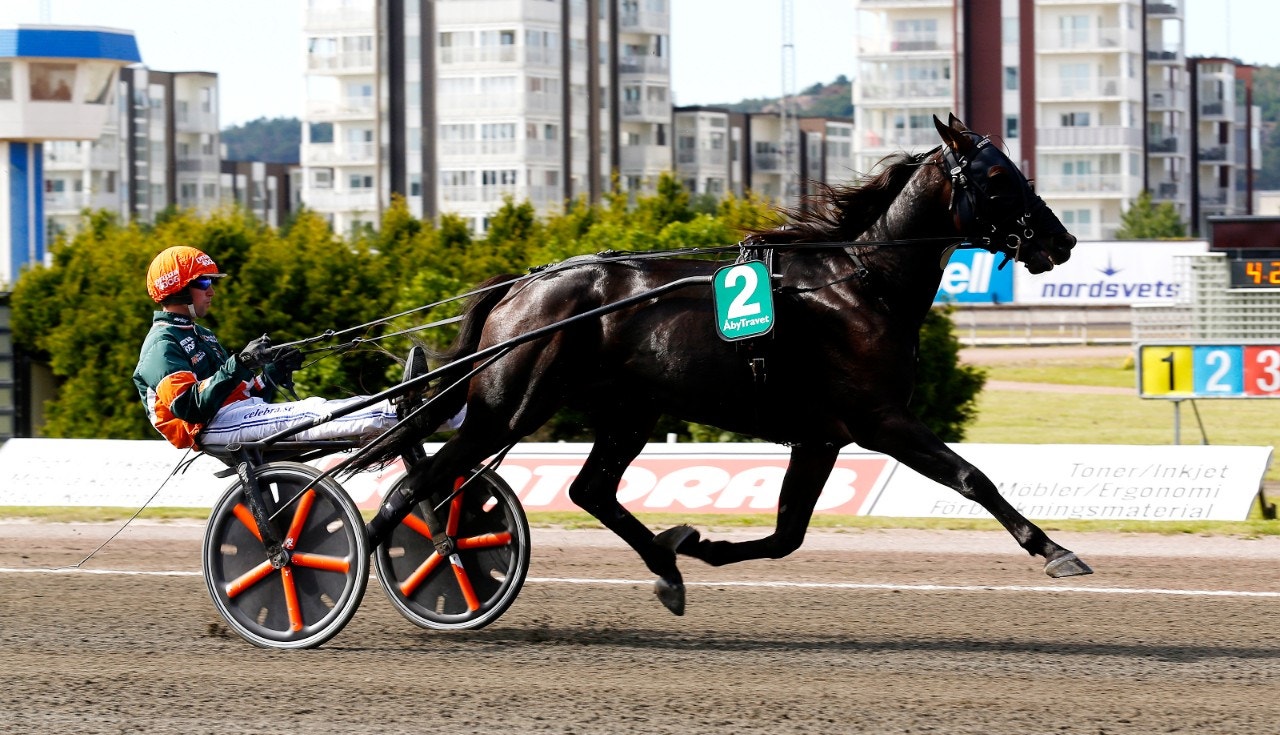 Stoletheshow inbjuden till Finlandia-Ajo