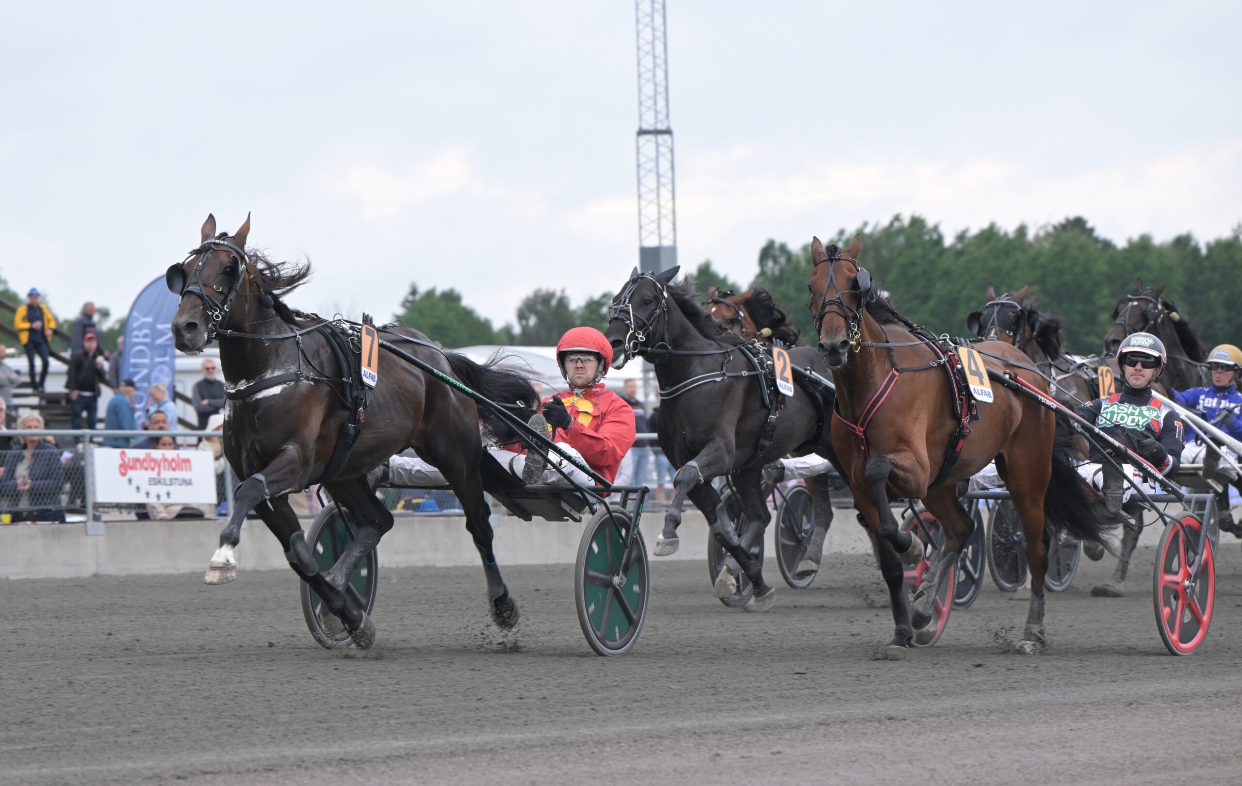 Foto: Lars Jakobsson, TR Bild