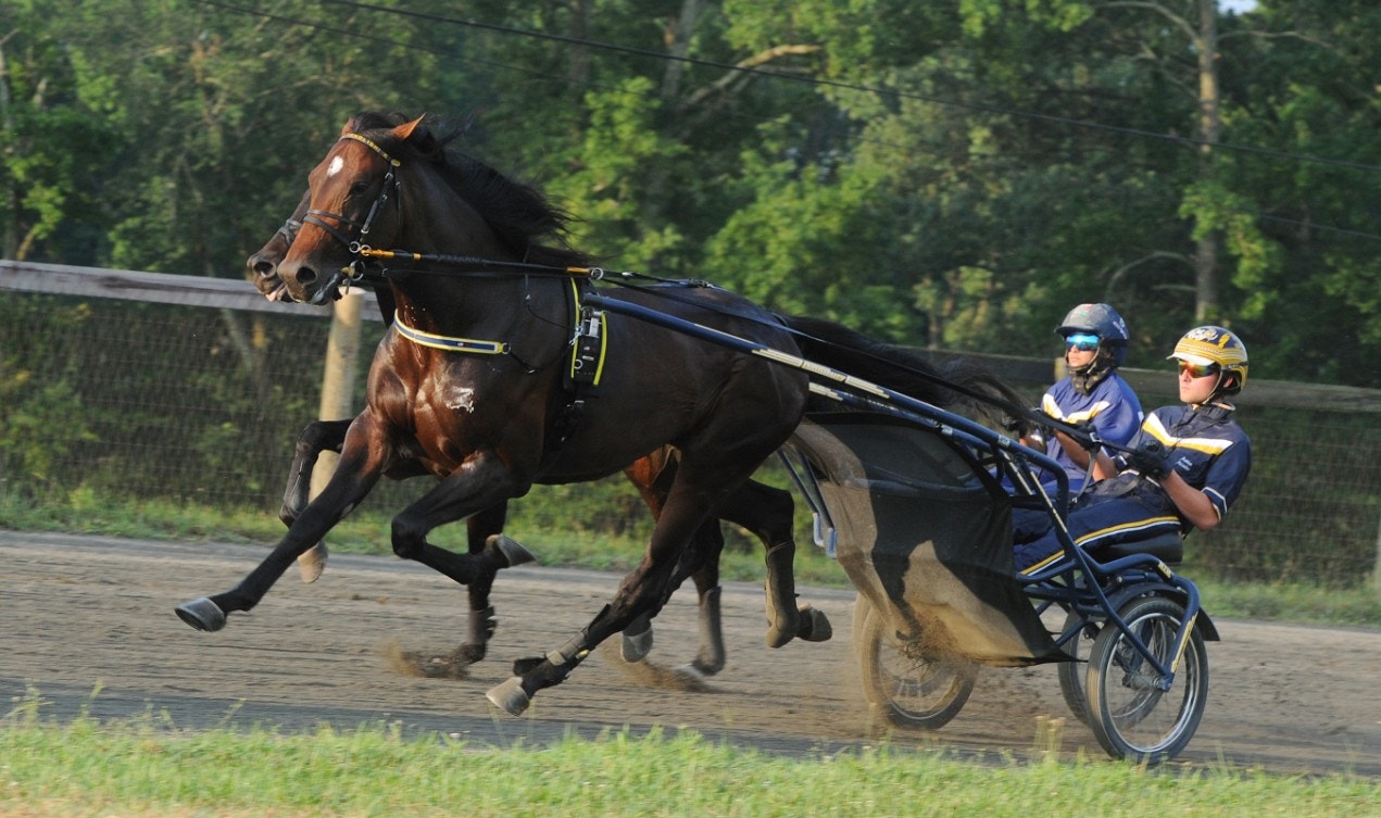 Vilken kväll för Melander!