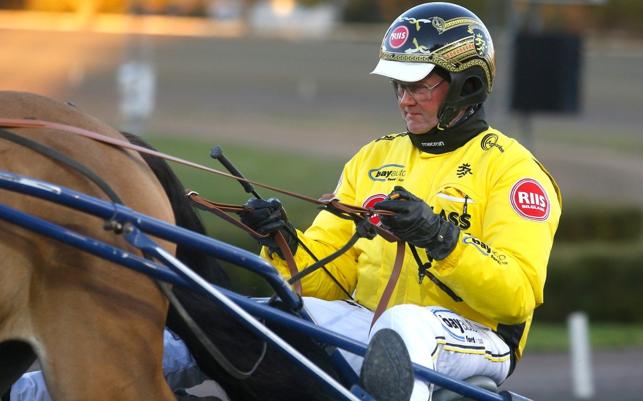 Grisle Odin G.L. gjorde bort sig med galopp - men Öystein Tjomsland visade i stället upp en överlägsen Havglimt. Foto: Hanold, ALN