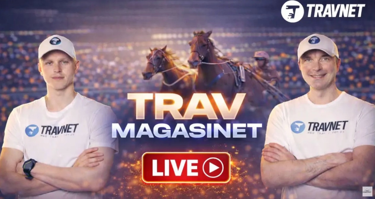 Se lördagslive inför V85