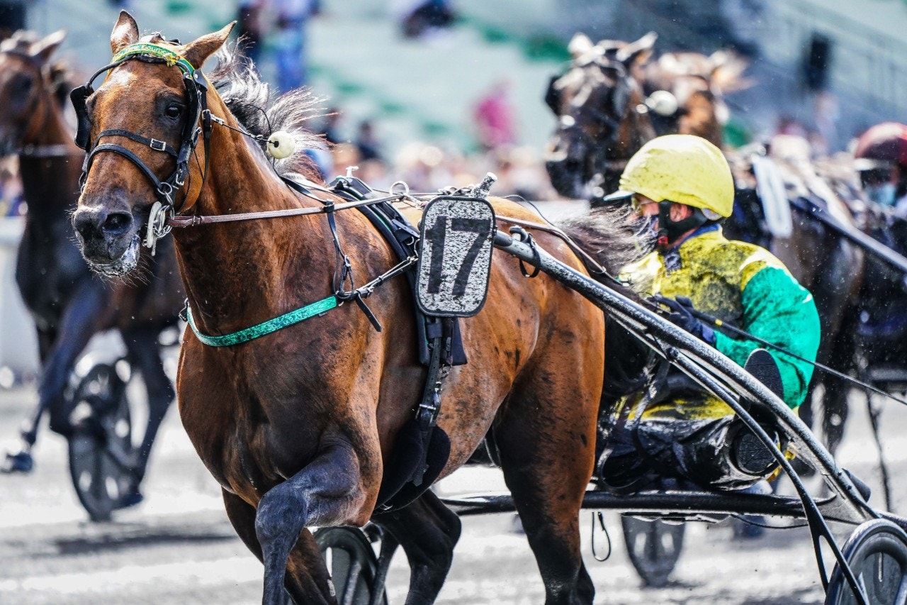 Face Time Bourbon tar sig an Prix d'Étolie på Vincennes. Foto: Icon Sport, Scoop Dyga/Bildbyrån