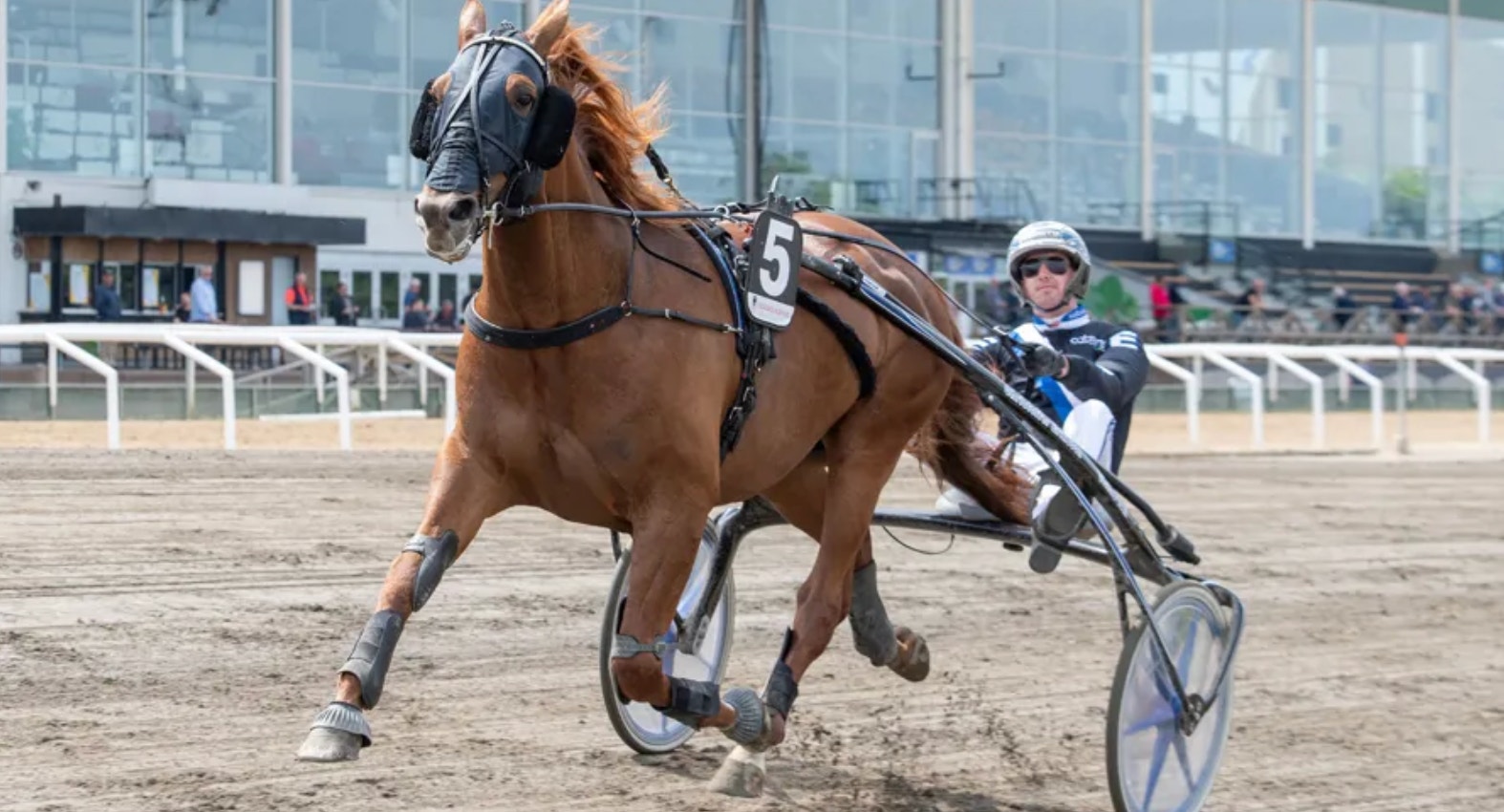 En brun häst med sele drar en lätt vagn (sulky) med en kuskar under ett travlopp på en sandbanerad tävlingsbana. Moderna byggnader syns i bakgrunden.