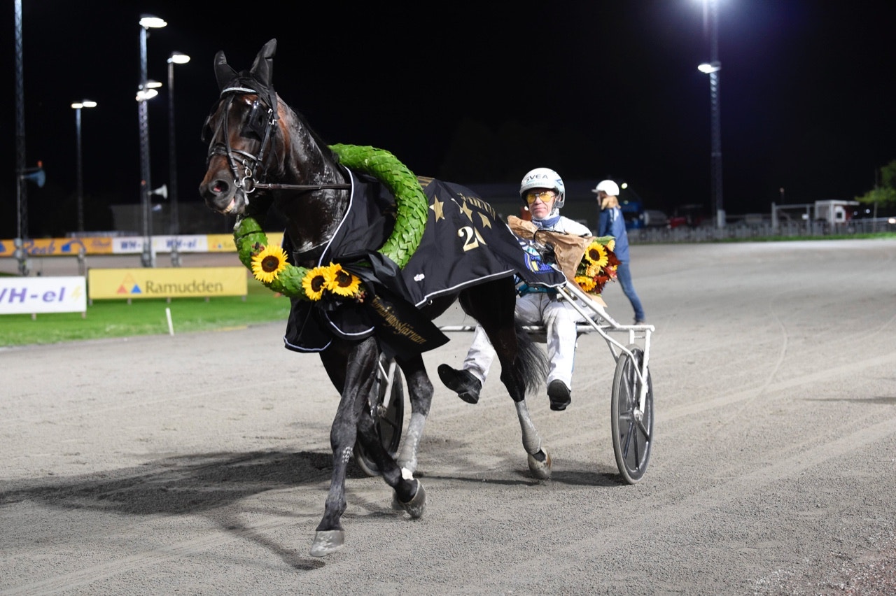 Lätt för Missle Hill