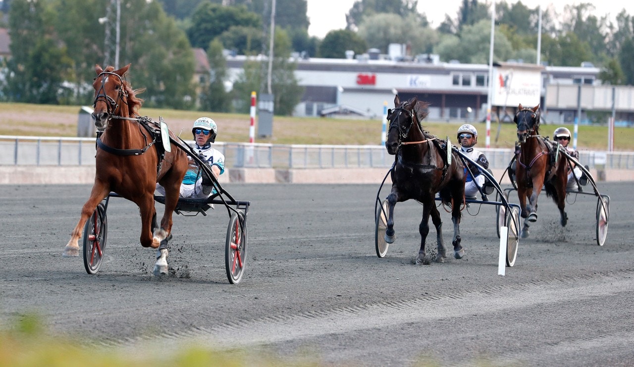 Armani Degato seglar undan med flera längder tillgodo på motståndet. Foto: Micke Gustafsson, ALN