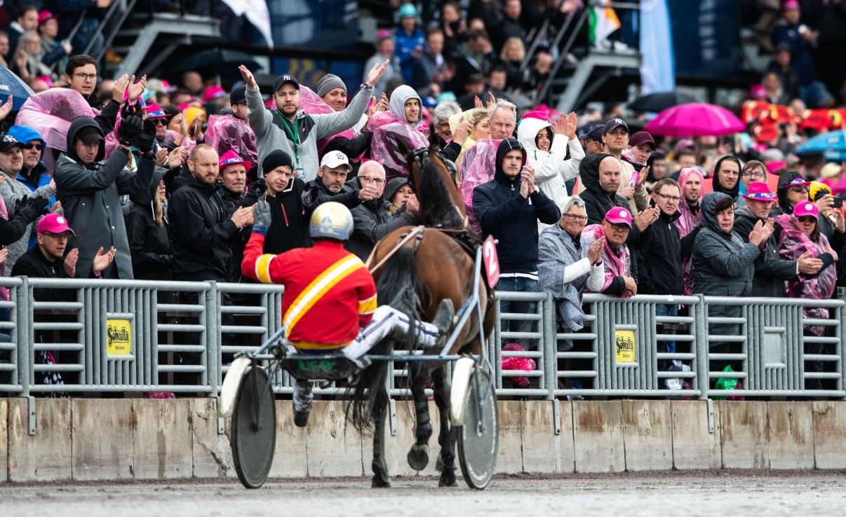 Readly Express tvingas stå över finalen i Elitloppet - men får publikens stående ovationer. Foto: Jonathan Näckstrand, Bildbyrån