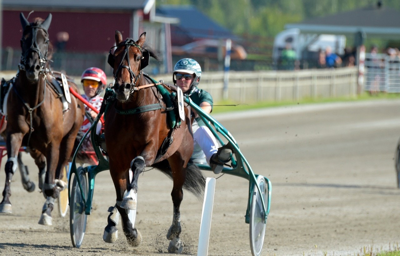 Hållihop, en vinnare direkt trots lång frånvaro. Foto: Martin Langels, ALN