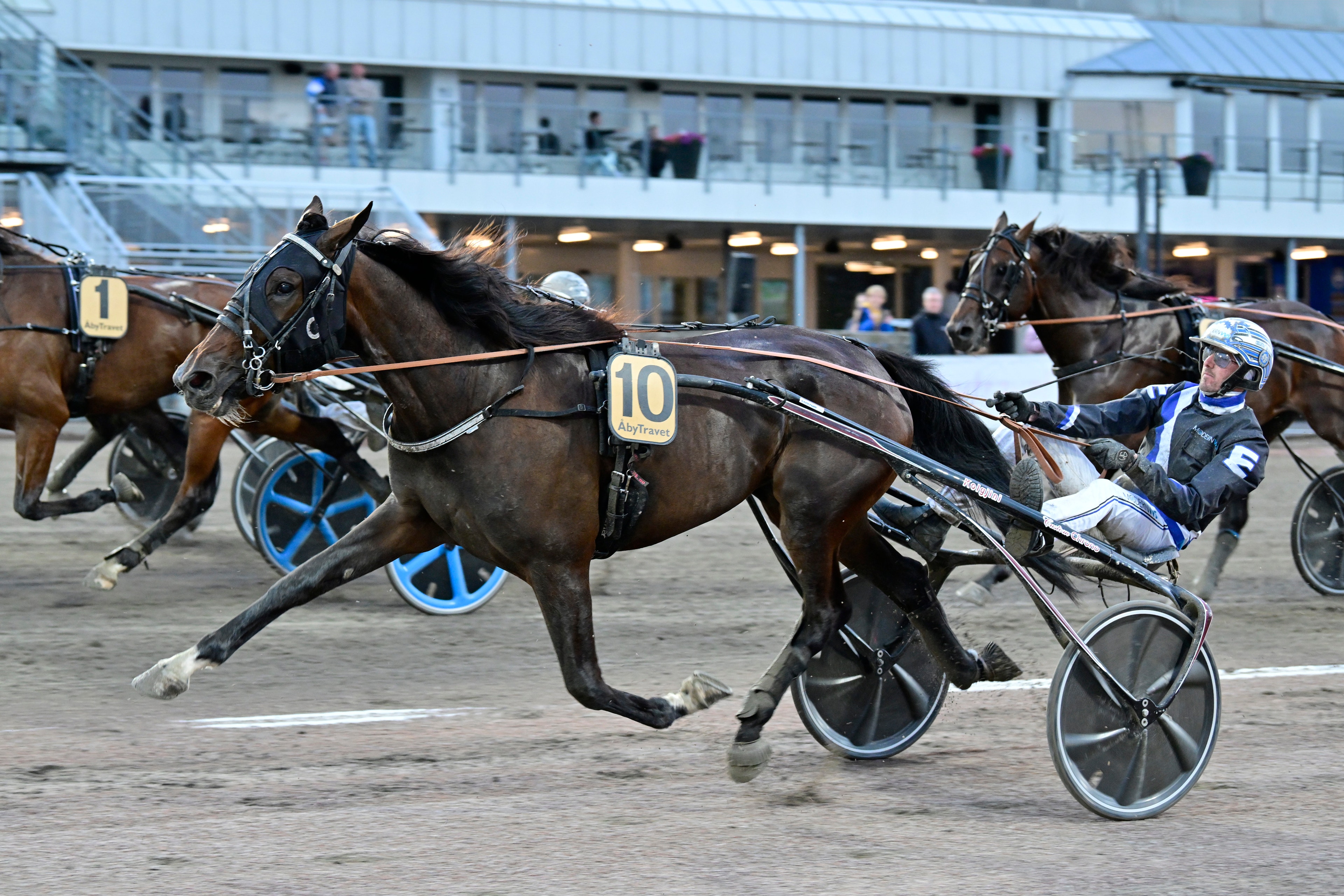 En brun travhäst med startnummer 10 travar på en travbana framför en åkare i blå dress och hjälm. Andra hästar och en läktarbyggnad syns i bakgrunden. Foto: ALN