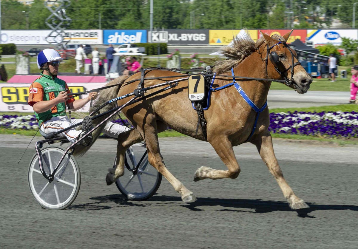 (87842) Foto: Tommy Andersson/ALN, Solvalla 20180527