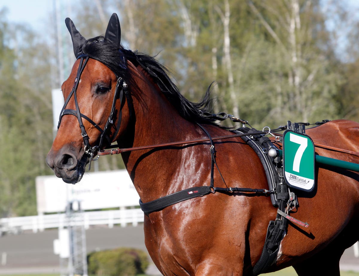Noble Express