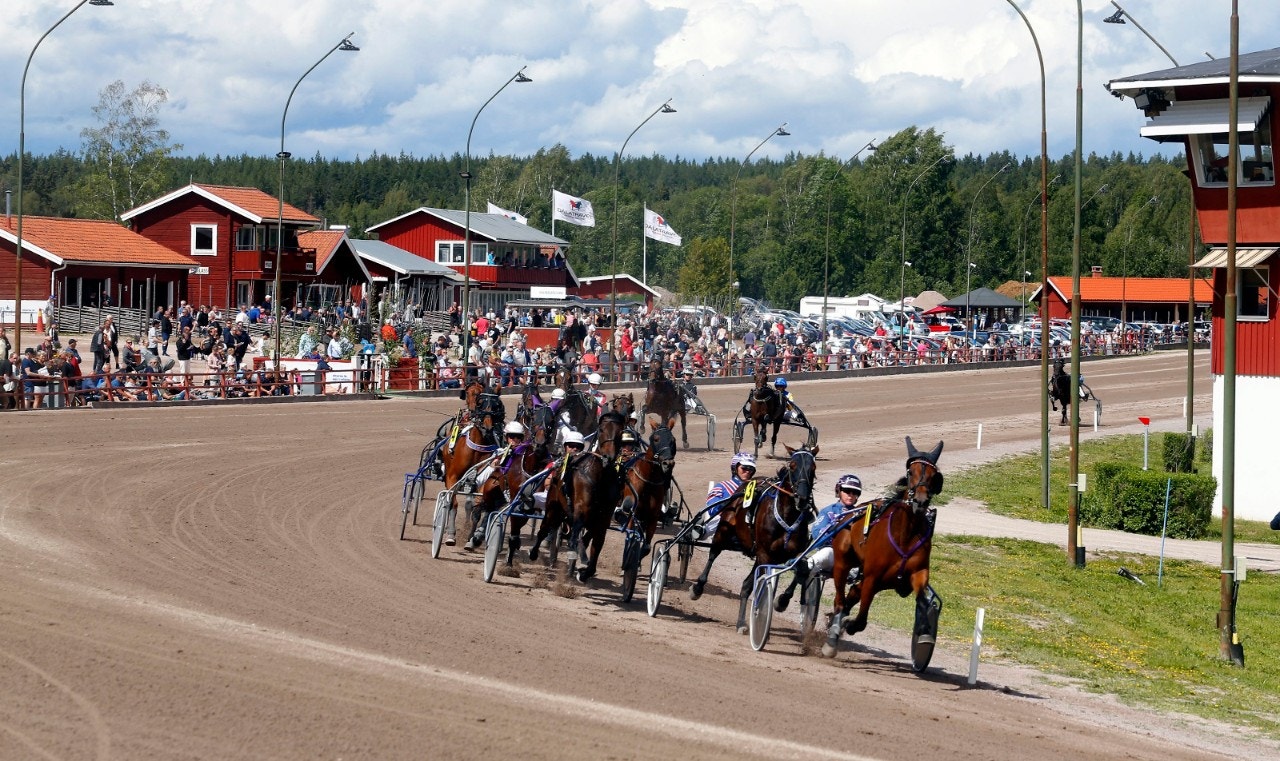 Svensk Travsport: Inkvalad häst måste starta i finalen