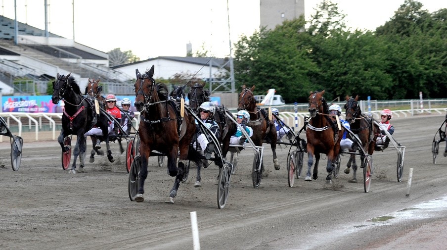 Robert Bergh vinner sitt fjärde Derby - Hail Mary var överlägsen från ledningen. Foto: Jörgen Tufvesson, ALN