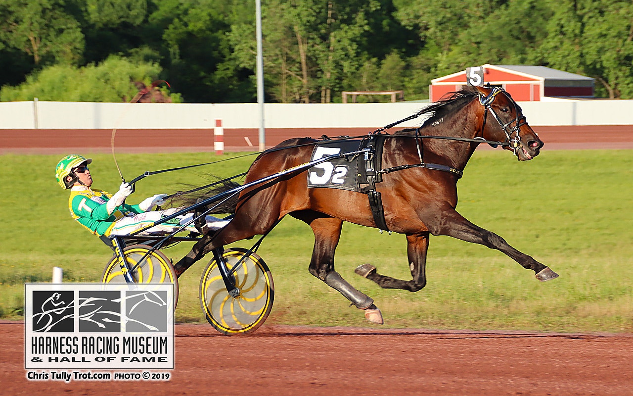 Green Manalishi ute efter guldet i Canadian Trotting Classic. Foto: Chris Tully, christullytrot.com