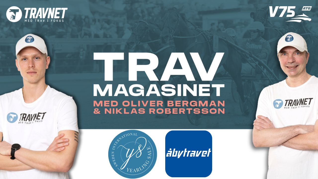 Magasinet: "Hur ska vi överleva detta!?"