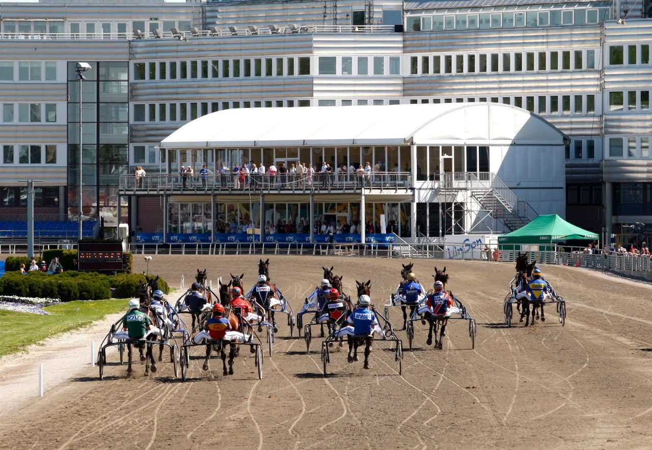 Tragik på Solvalla: Hästen dog under loppet