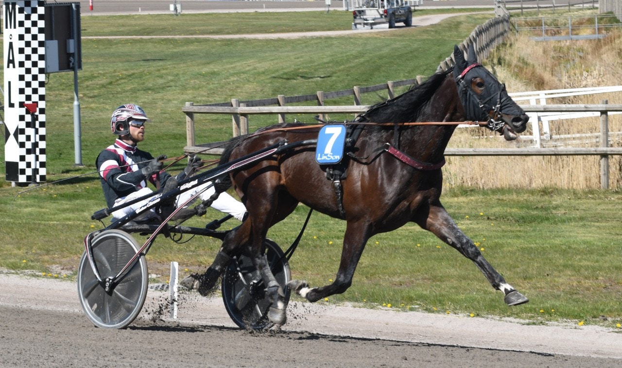 Kalmar 8 maj: Bröderna brothers med toppchanser