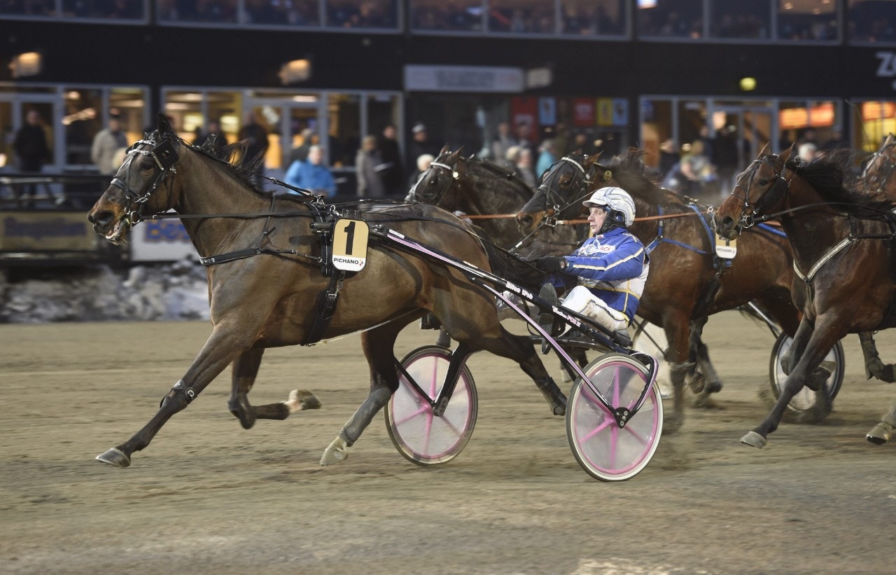 Tips Dannero 11 augusti: Hela vägen, Elian Web