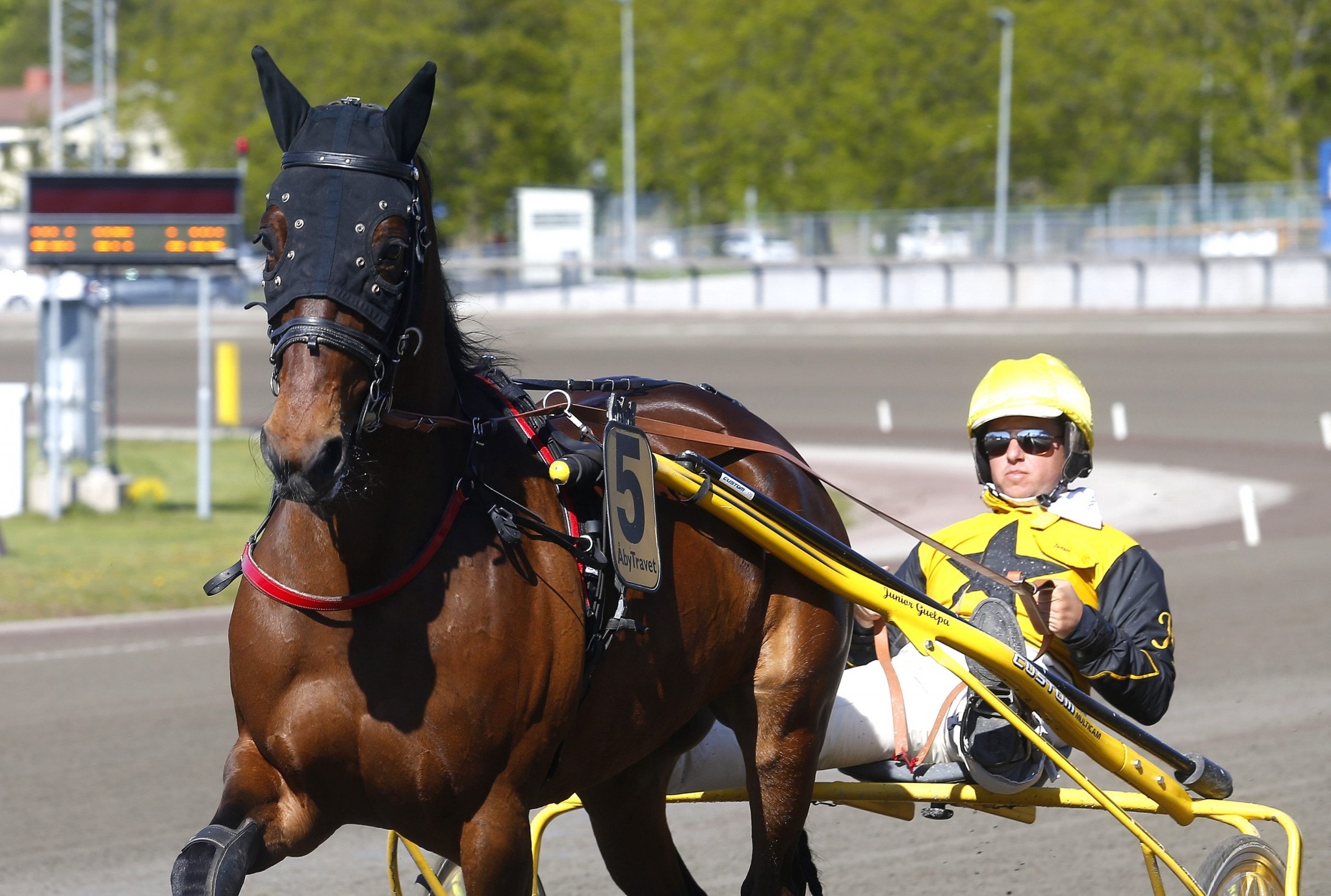 Bahia Quesnot siktas mot start i Prix de Cornulier. Foto: Hanold, ALN