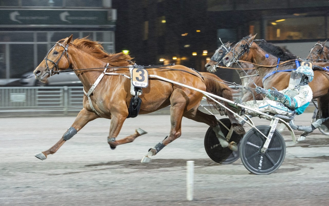 Fint besked från Conrads Rödluva