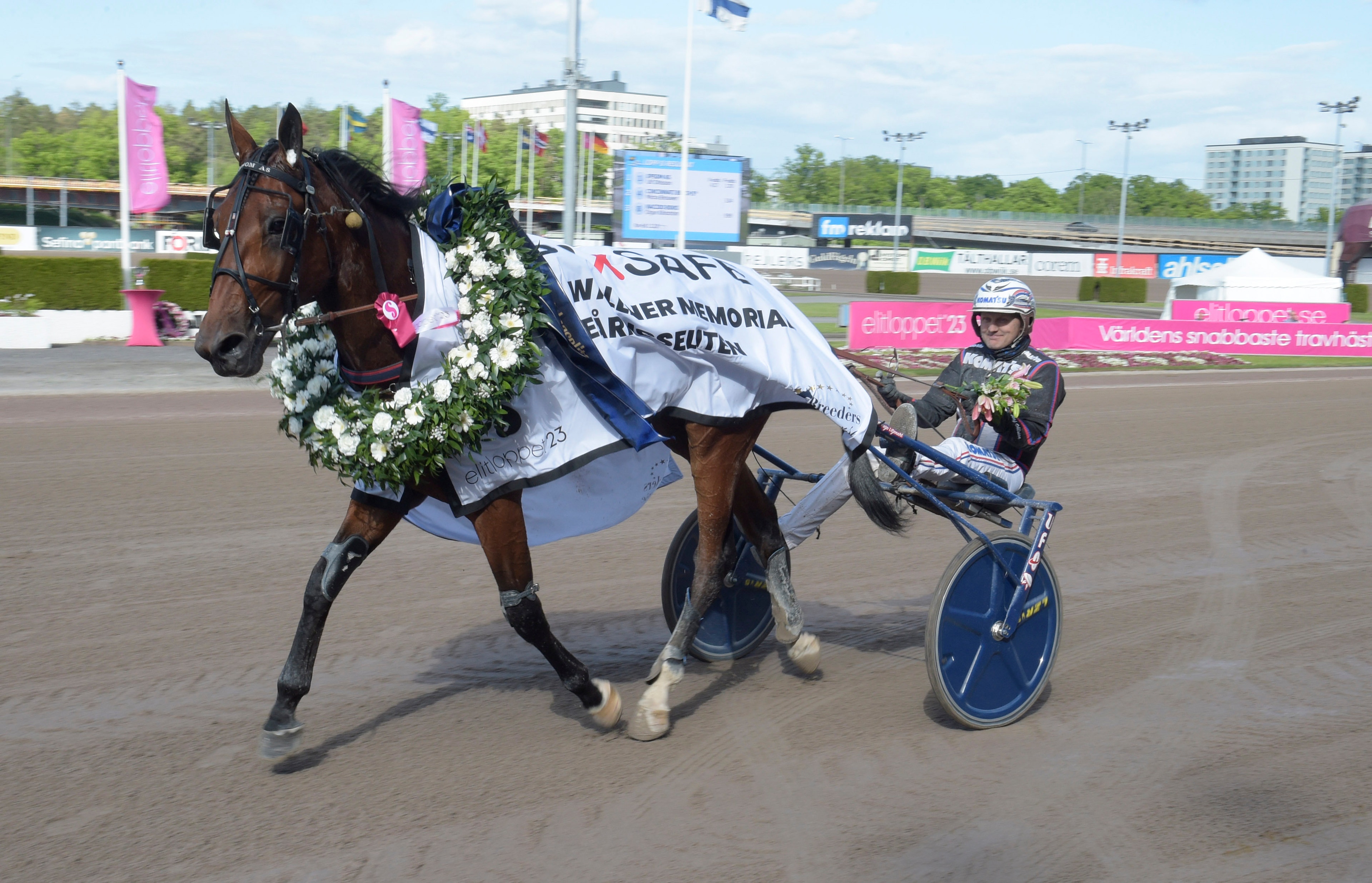 En brunsvart häst med jockey på en travbana, dekorerad med vinnarkrans och vit täckning efter ett lopp.