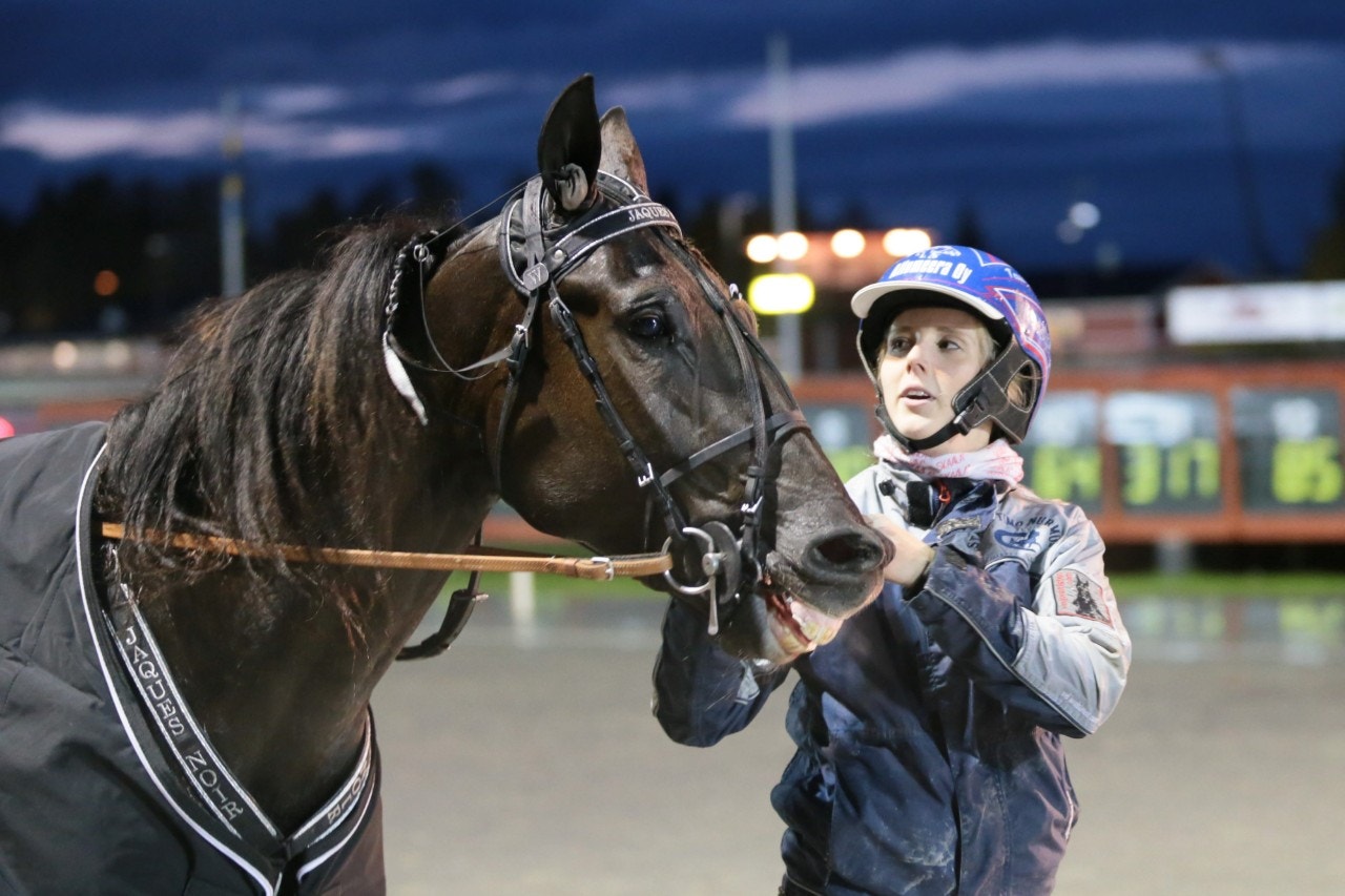 Bergsåker/Solvalla 30 oktober: Äntligen dags för Jaques Noir