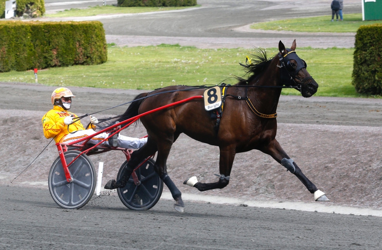 Arazi Boko fick se sig besegrad i Gran Premio Freccia D'Europa - Foto: ALN