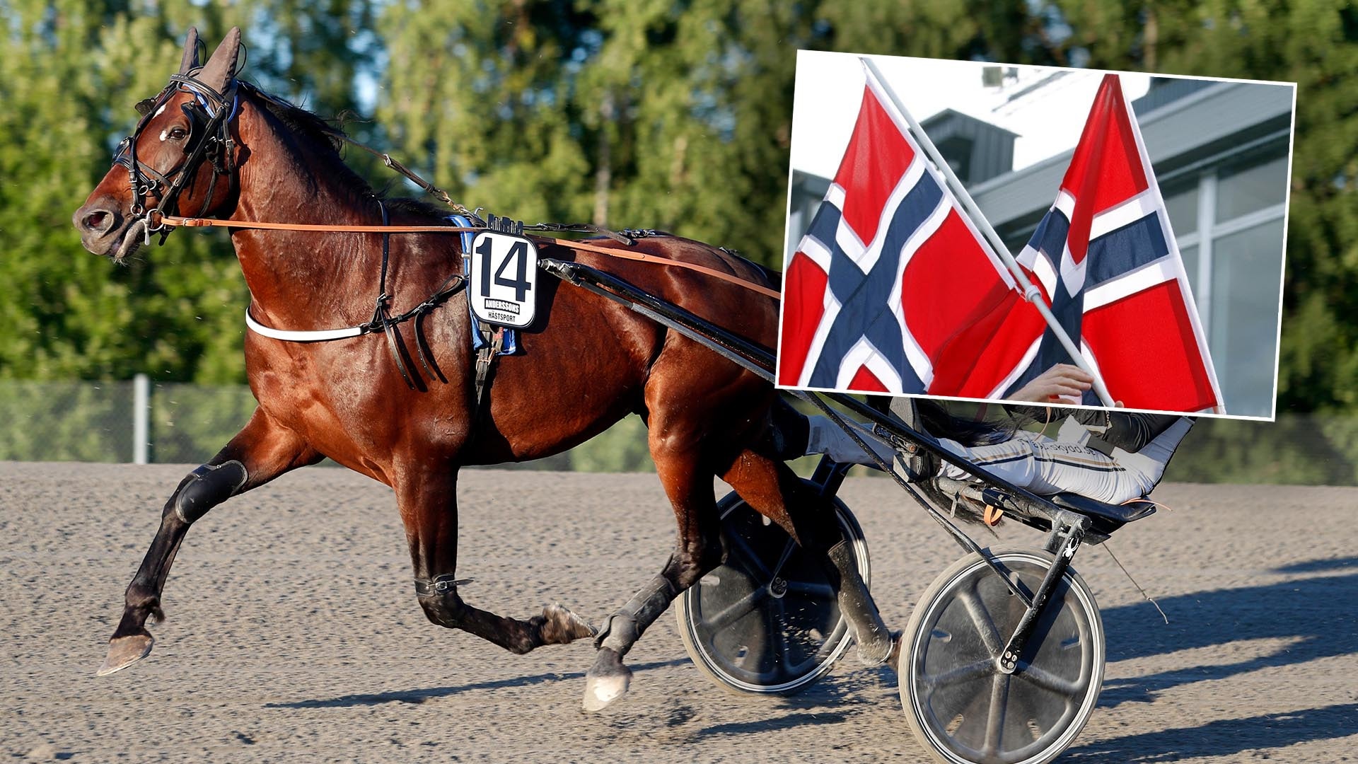V4-tips: Norskt lunchtrav inleder veckan