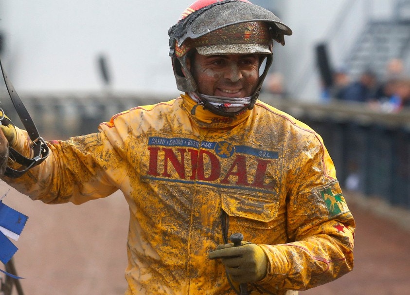 Vivid Wise As försvarade titeln