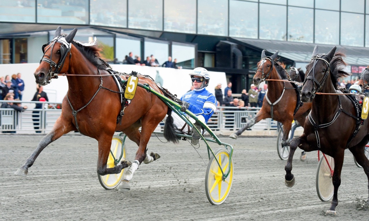 Candy la Marc vid segern i Oaks 2017. Nu fortsätter hon som avelssto. Foto: Martin Langels, ALN
