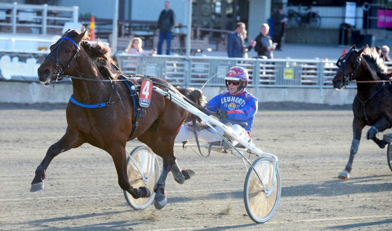 Belker och Torbjörn Jansson vid en seger på Solvalla. Foto: Martin Langels, ALN