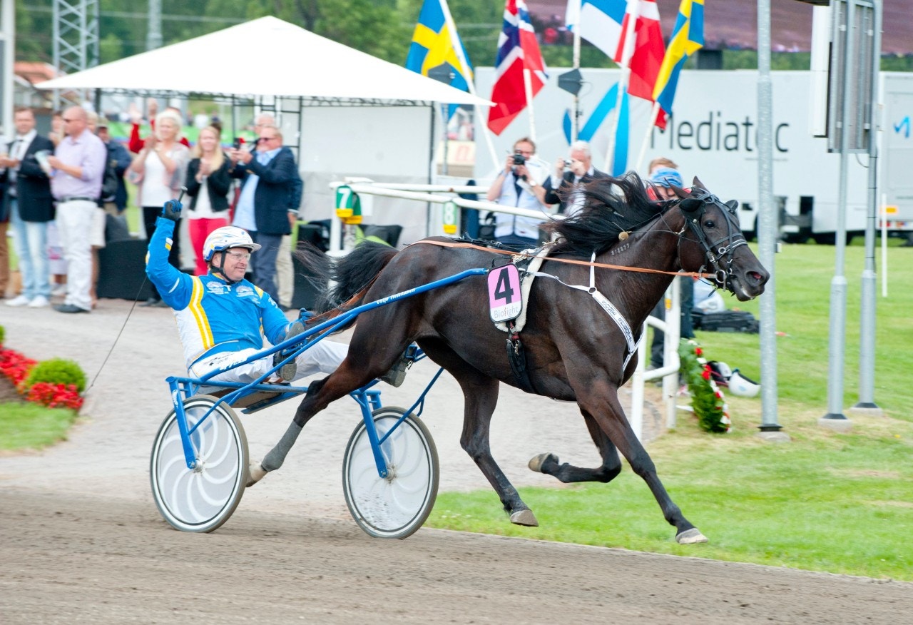 Some Summit vid segern i Stochampionatet 2015. Foto: Johan Grundin, ALN