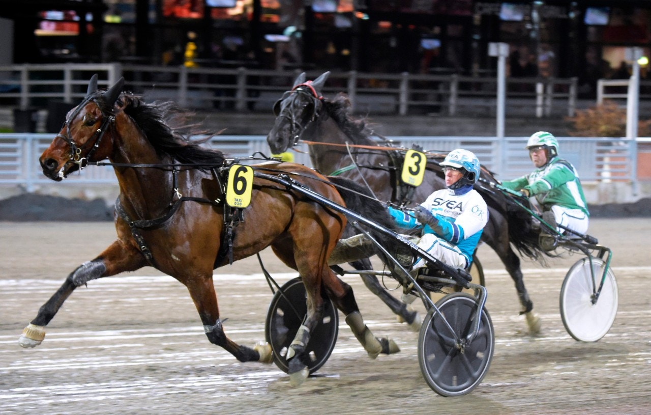 Tips Örebro 17 augusti: En riktigt het vinnare!