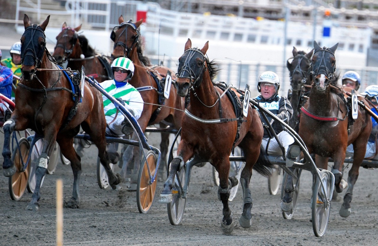 Axevalla 18 juli (lördag): Bästa hästen och bästa kusken ger bästa vinnaren!