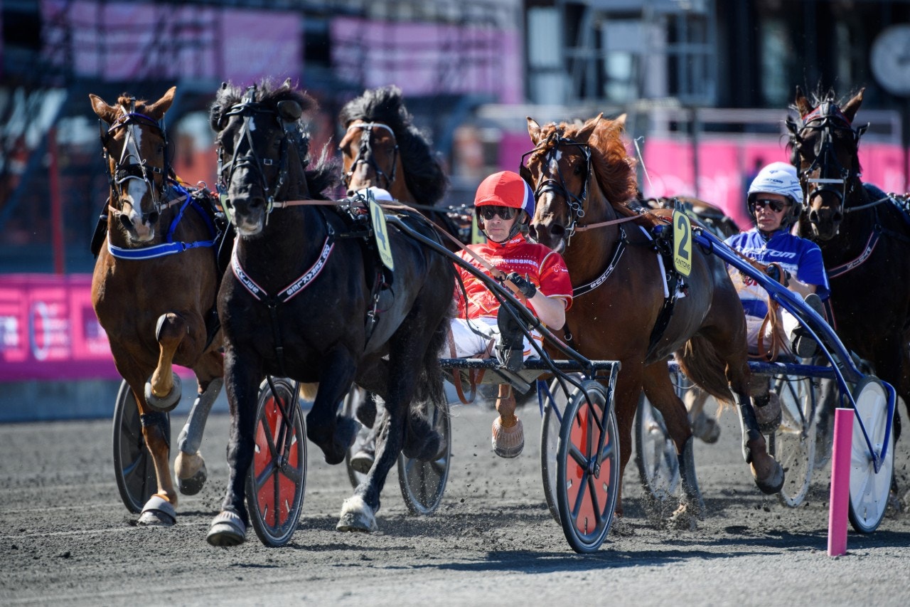Odd Herakles imponerade stort när han försvarade titeln i Alm Svartens Äreslopp. Foto: Simon Hastegård, Bildbyrån