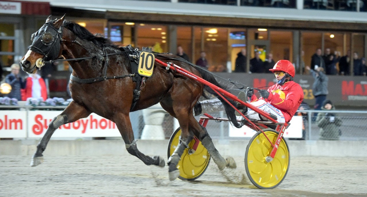 Toppmöte i Gulddivisionens final