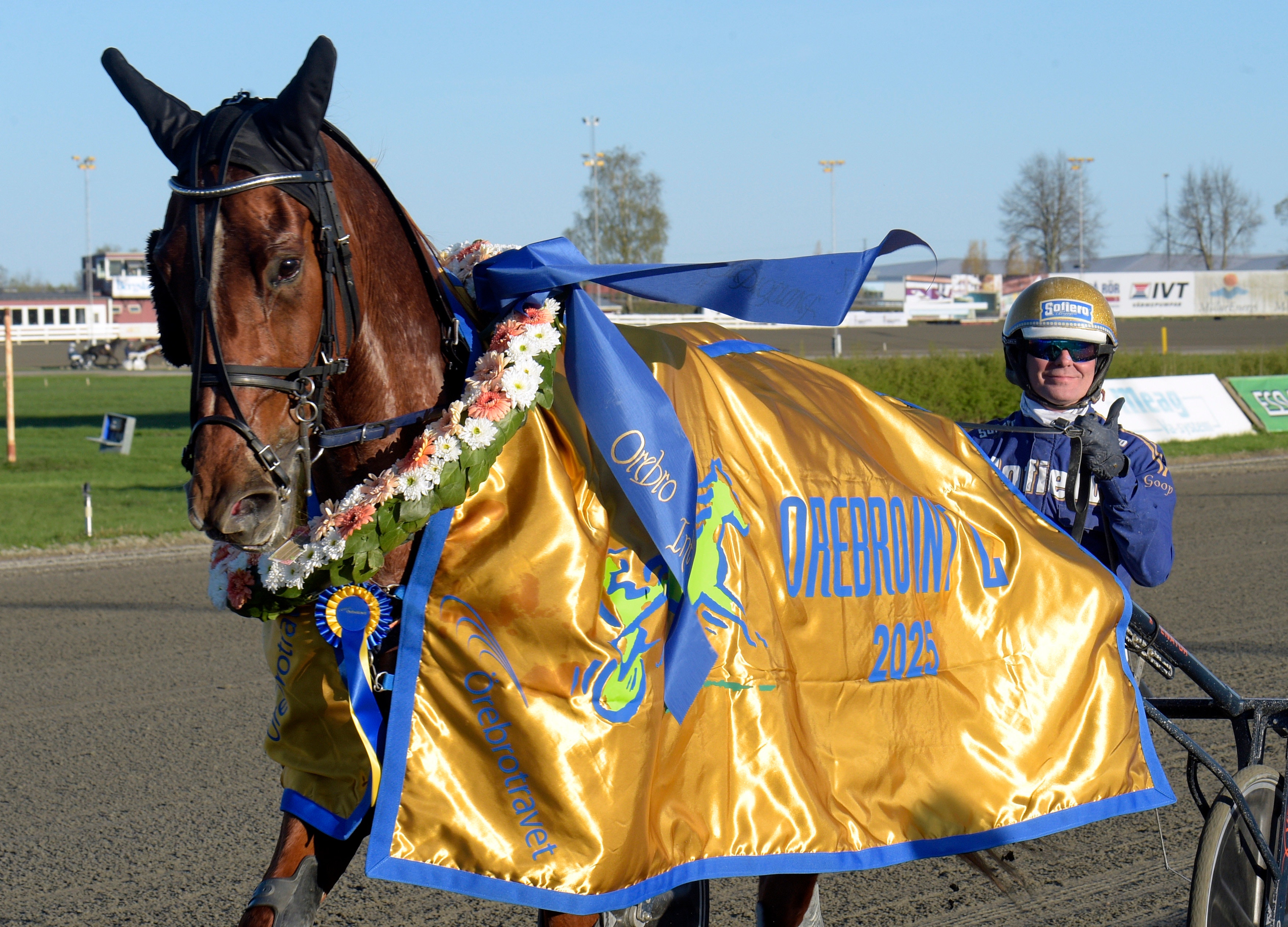 En brun häst med jockey står på en travbana och bär en gyllene segeröverkastad med blå detaljer. Hästen är dekorerad med en blomsterkrans och jockeyn håller i överkasten som visar segern.