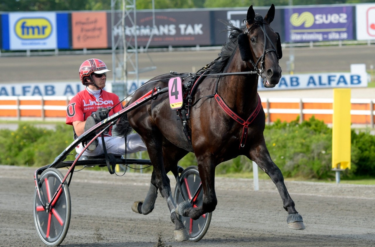 Guzz Mearas tar sikte mot stjärnorna