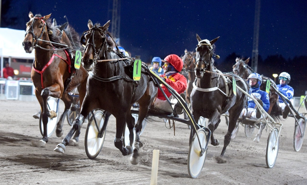 Ganga Bae möter den äldre stoeliten på Solvalla. Foto: Martin Langels, ALN