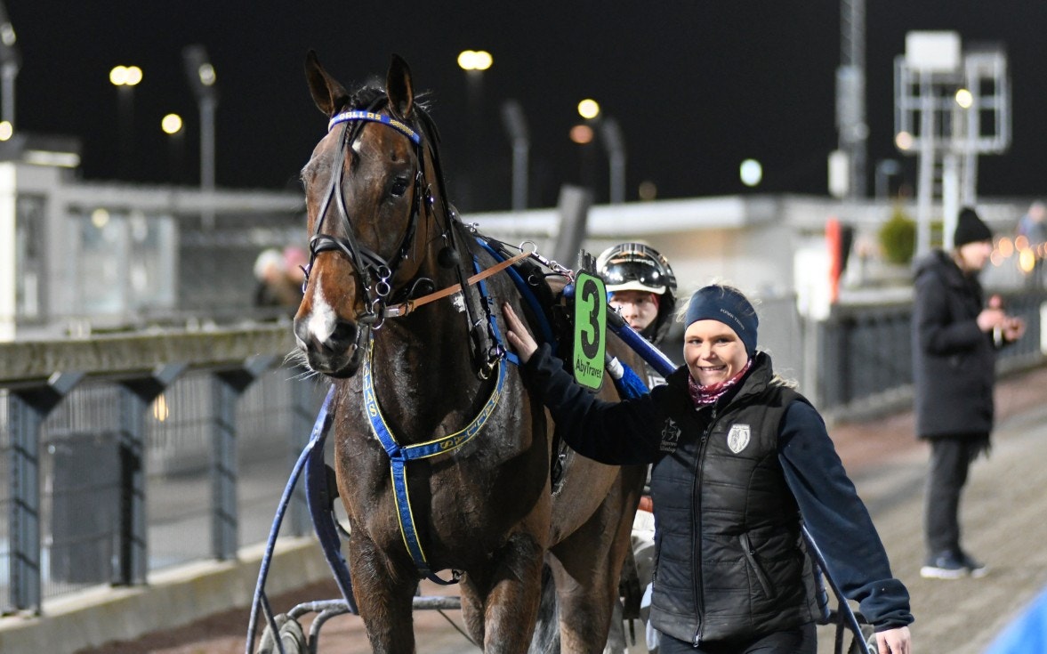 Jägersro 28 april: Dallas - med en följetong av bra insatser