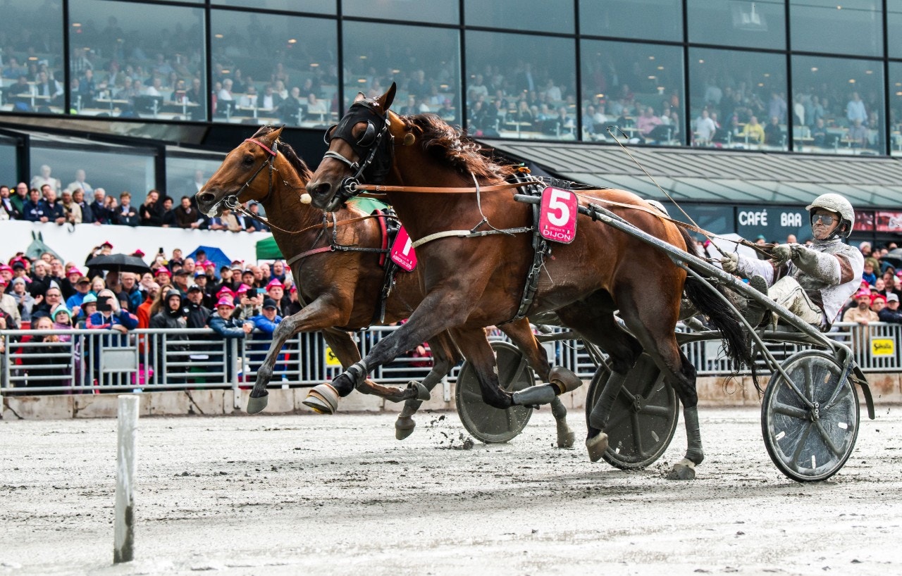 Kampen om Elitloppet