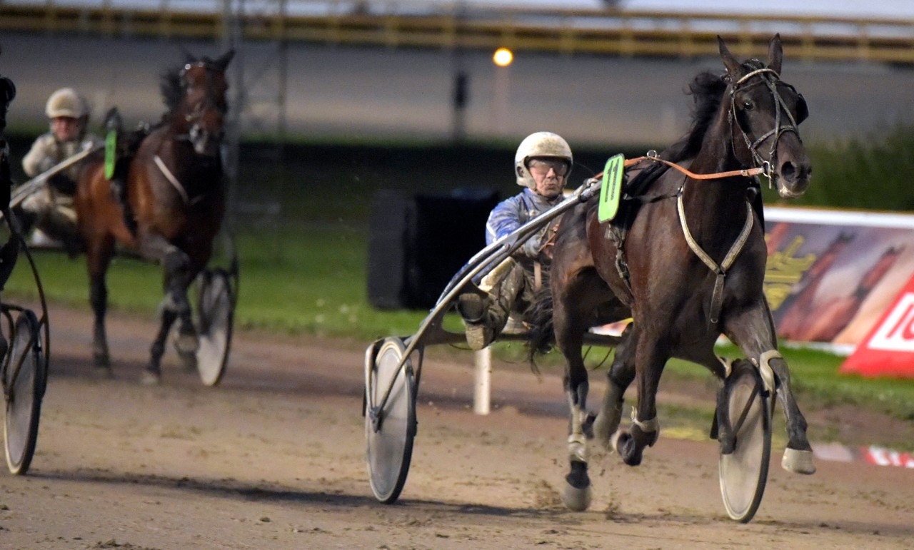 Dixie Brick möter Diana Zet. Foto: Martin Langels, ALN
