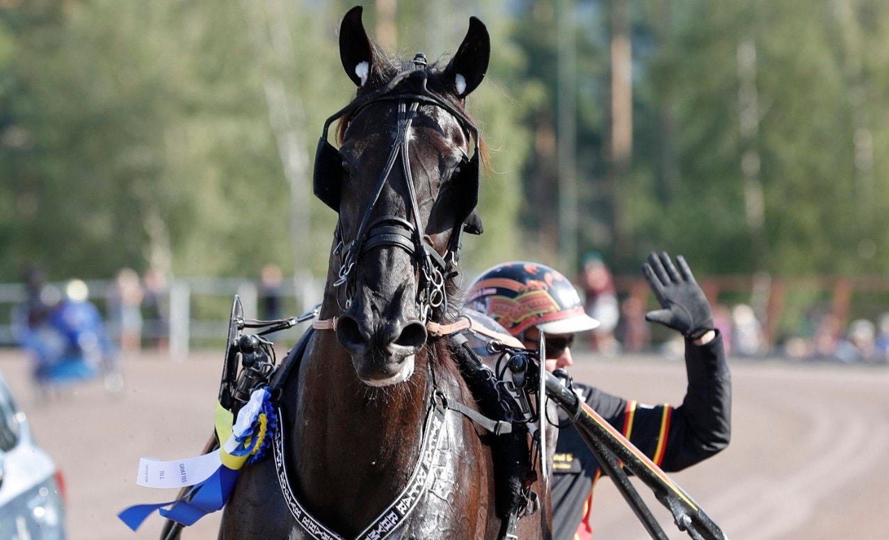 Milliondollarryhme avgjorde Svenskt Mästerskap efter en fantomspurt. Foto: Micke Gustafsson, ALN