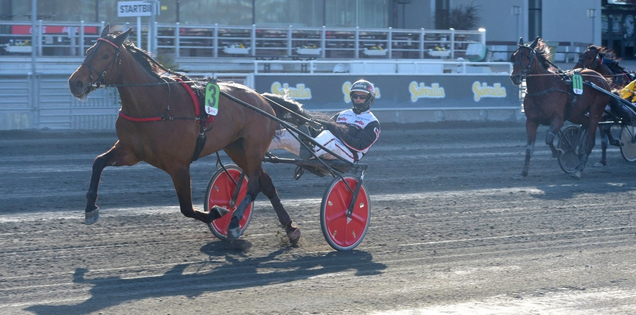 Solvalla: Surprise Rose läcker Forss-vinnare