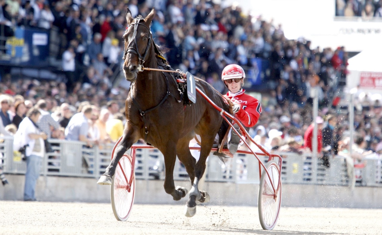 Giant Diablo har med hjälp av surrogatmamman Promised Land nedkommit med ett nytt föl. Foto: Micke Gustafsson, ALN